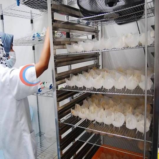 Máy sấy tổ yến chất lượng cao